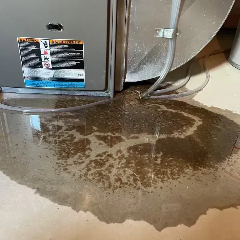 Appliance Leak Cleanup in Maryville, IL